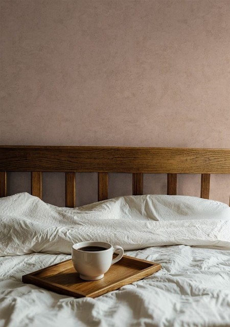 Coloring Limestone Rosé - 1035901-09 - 04932-01 paint Studio Surface